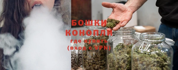 СК Аркадак