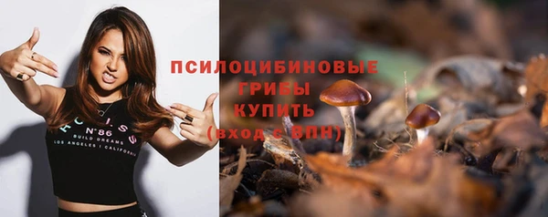 первитин Армянск