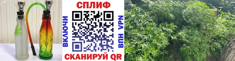 Марихуана White Widow  как найти закладки  Сунжа 